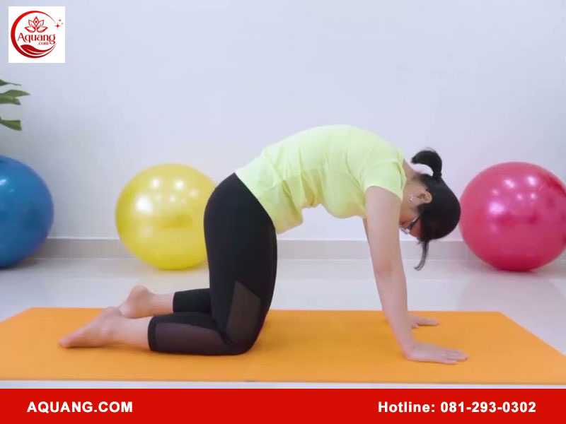 Bài tập Kegel cho nữ bị sa tử cung