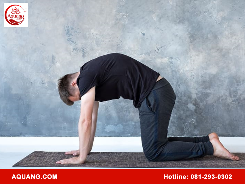 Khóa học Khí công Thiền Trị Liệu ở đâu uy tín?