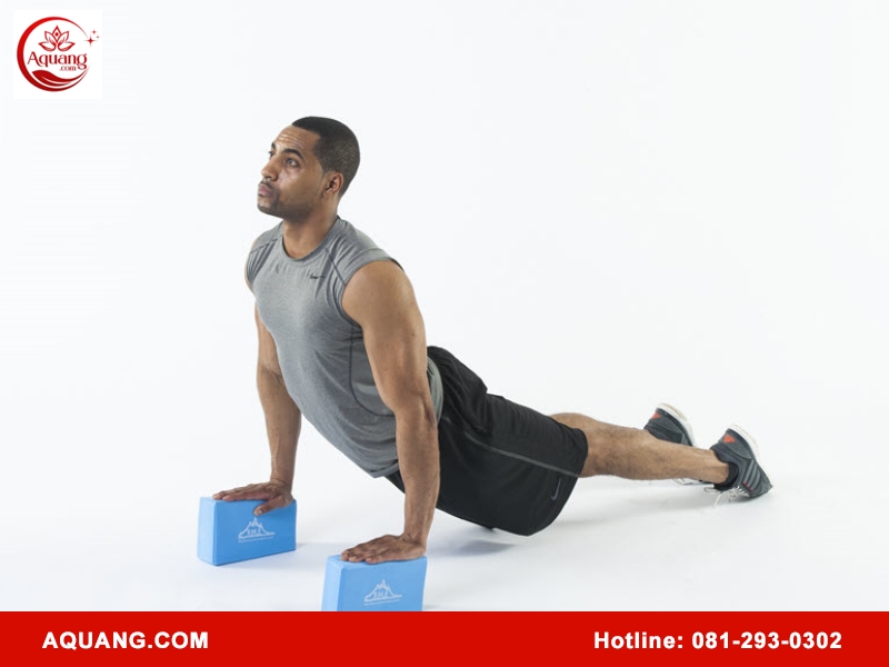 Tư thế Plank (Plank Pose)
