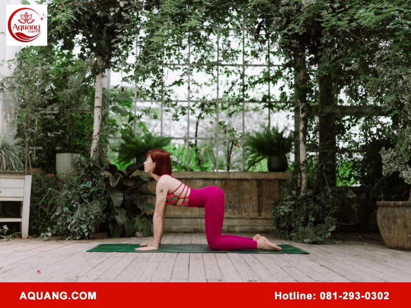 Tư thế con mèo (Marjaryasana) và con bò (Bitilasana)