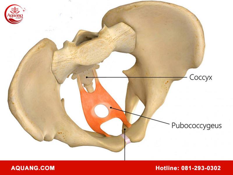 Cơ PC là gì và tại sao nó quan trọng?