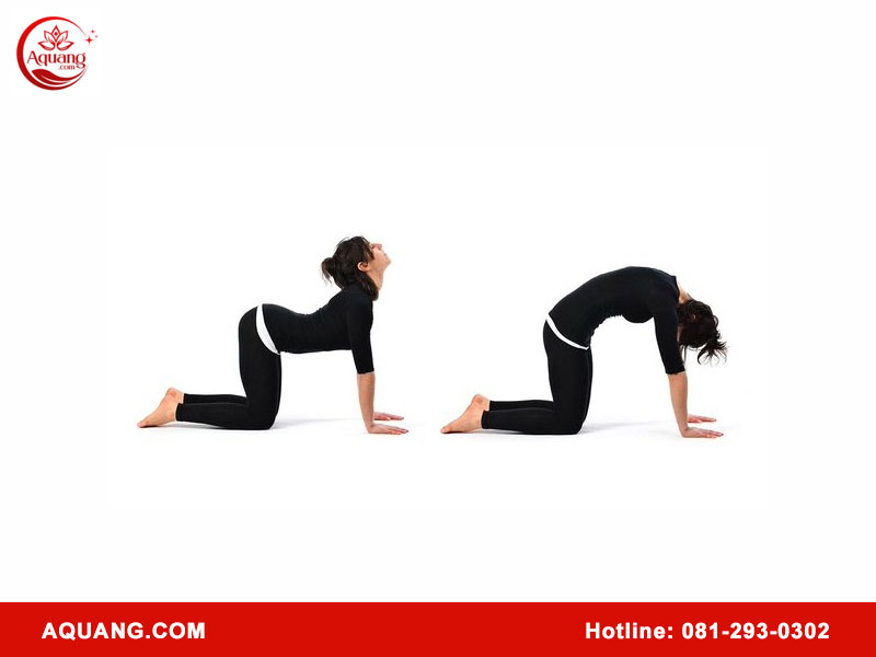 Hướng dẫn tập Kegel sau sinh