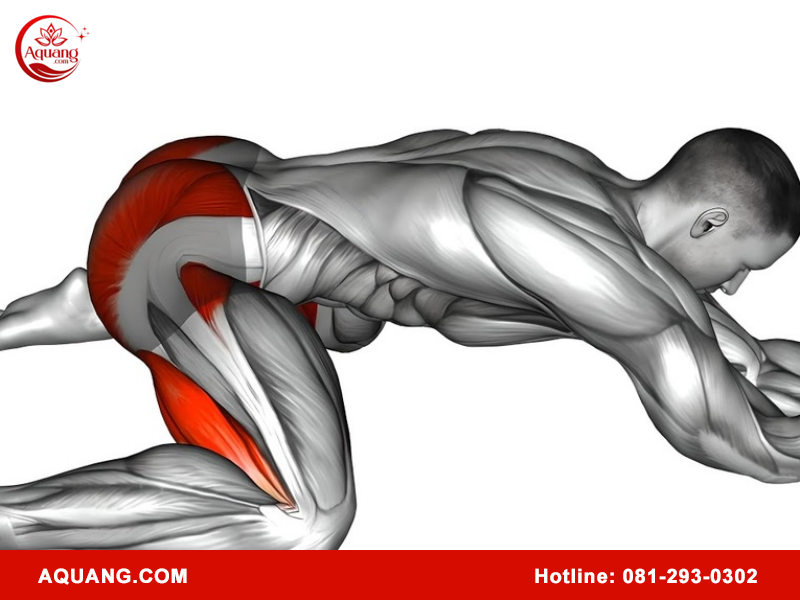 Hỗ trợ điều trị viêm tuyến tiền liệt